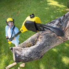 Best Lawn Mowing Services  in Chanhassen, MN